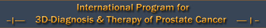 International Program for 3-D Diagnosis & Therapy of Prostate Cancer